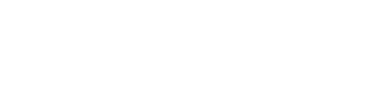 Pri-Med South white logo no year